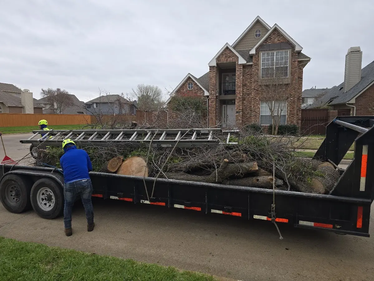 Expert Lot Clearing with proper safety equipment in Star Tannery